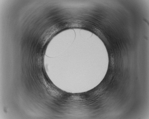 X0000101120534200806261047