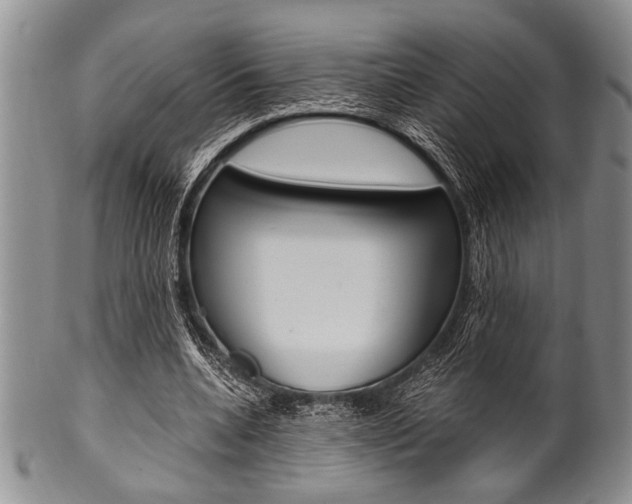 X0000101120536200806261047