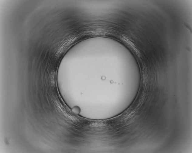 X0000101120537200806261047
