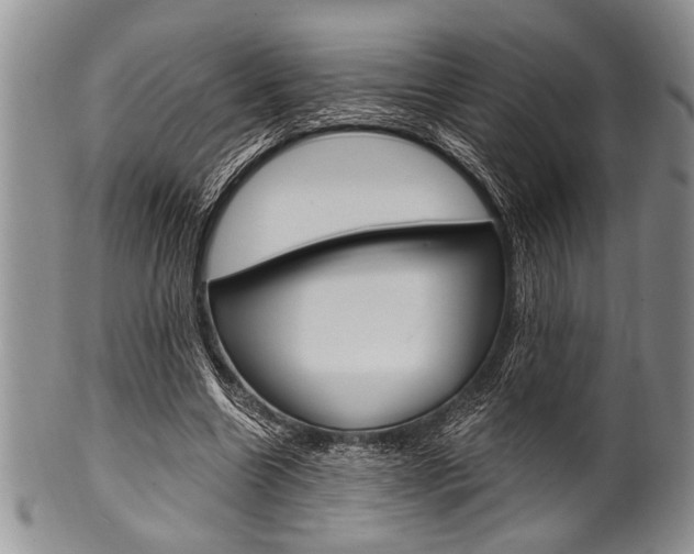 X0000101120538200806261047
