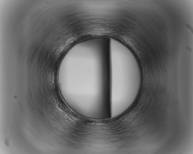 X0000101120539200806261047