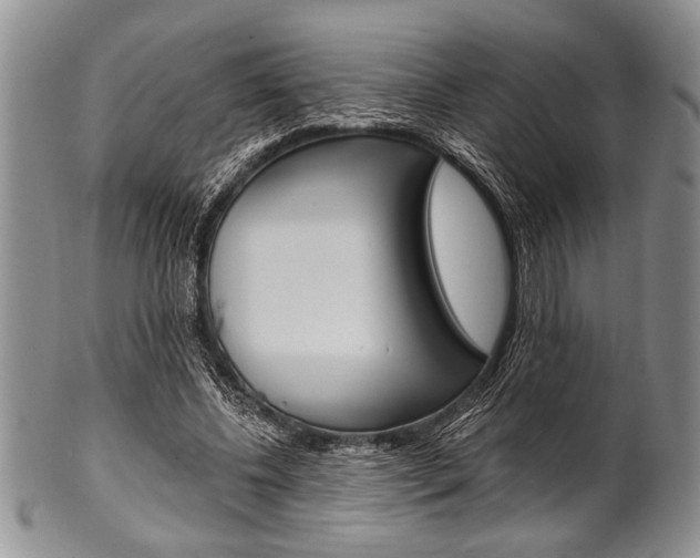 X0000101120540200806261047