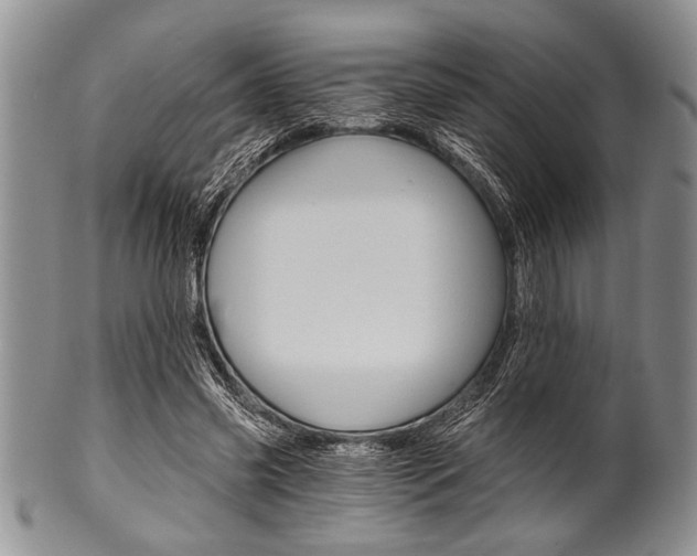 X0000101120541200806261047