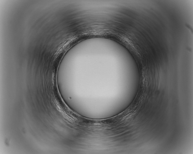 X0000101120542200806261047