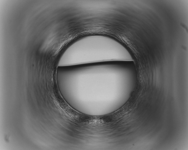 X0000101120543200806261047