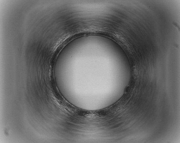 X0000101120544200806261047