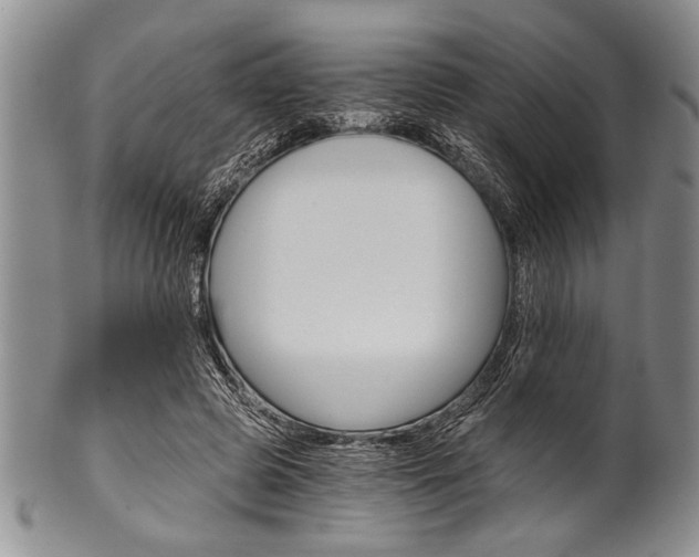 X0000101120545200806261047