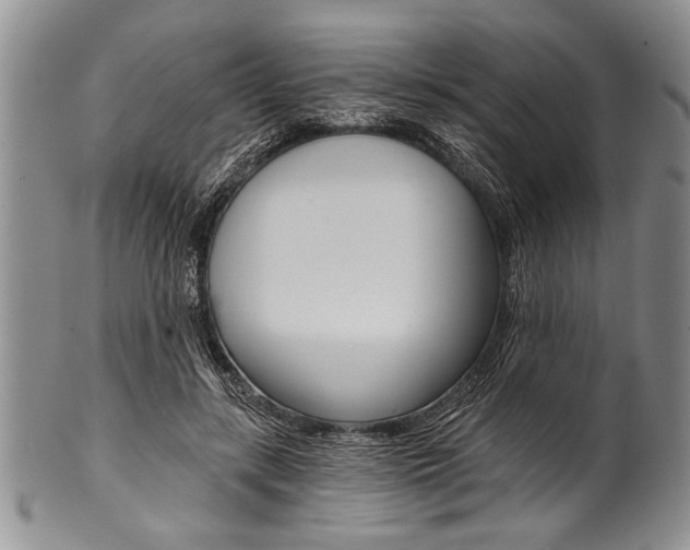 X0000101120547200806261047