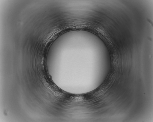 X0000101120548200806261048