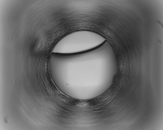 X0000101120551200806261048