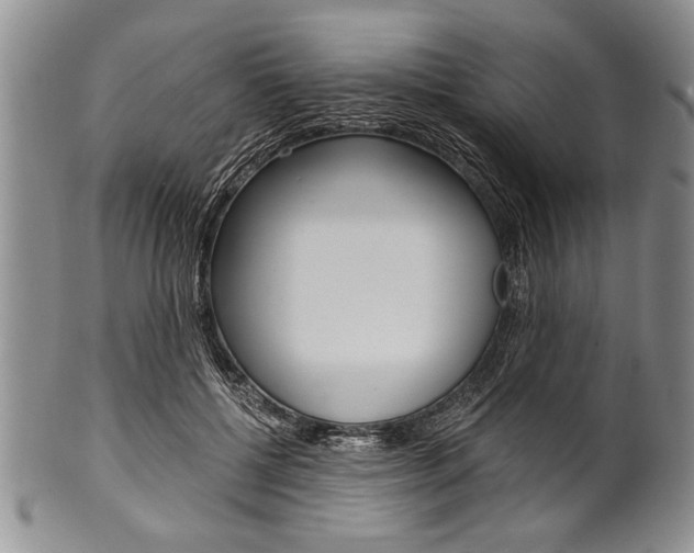 X0000101120552200806261048