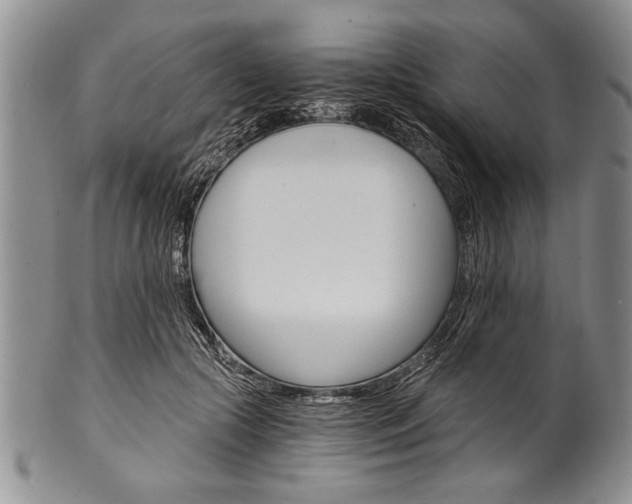 X0000101120553200806261048
