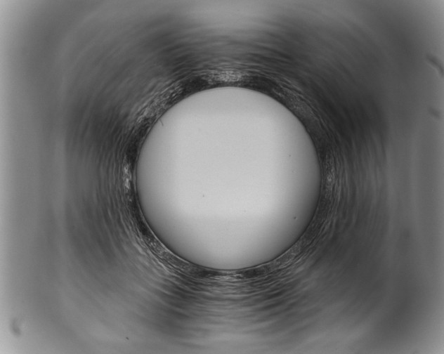 X0000101120555200806261048