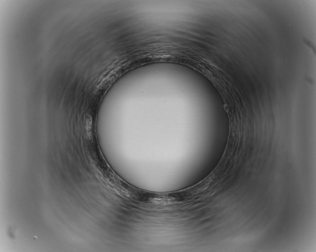 X0000101120556200806261048