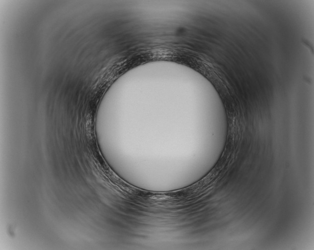 X0000101120557200806261048