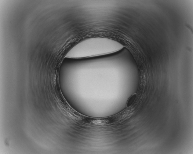 X0000101120558200806261048