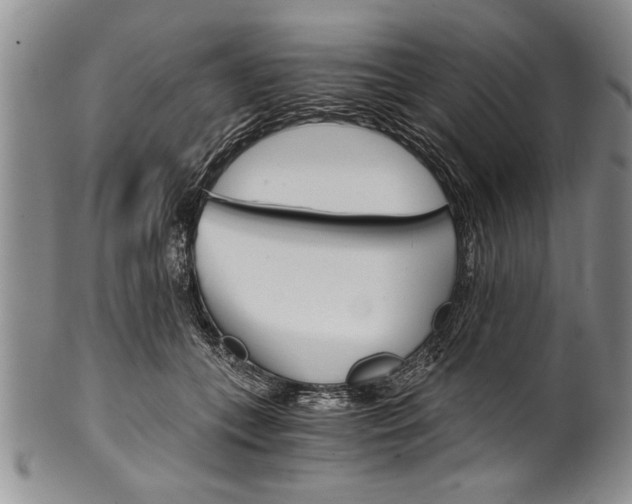 X0000101120559200806261048