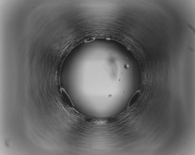 X0000101120560200806261048