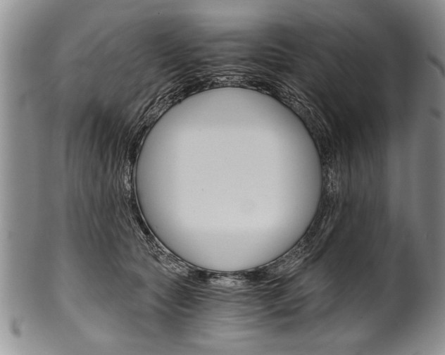 X0000101120561200806261048