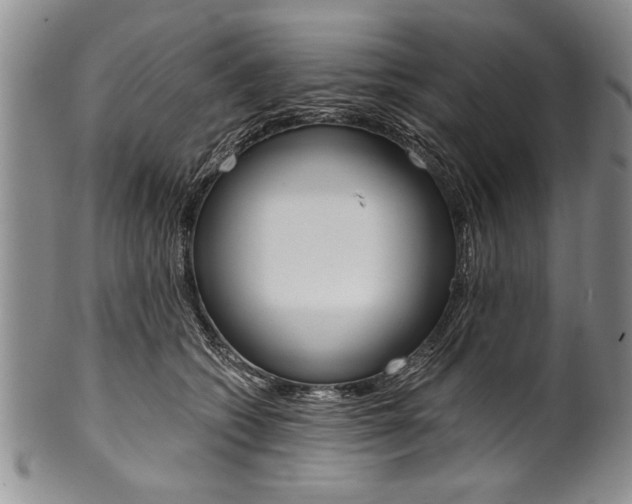 X0000101120562200806261048