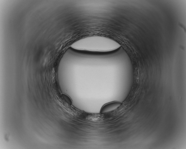 X0000101120563200806261048