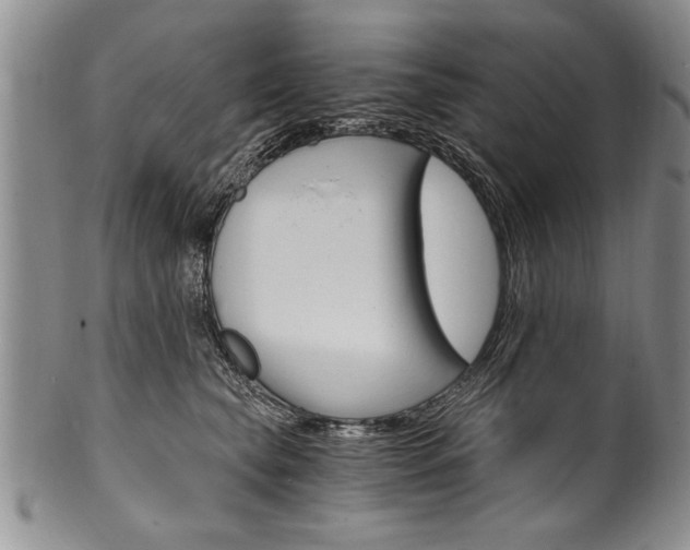 X0000101120565200806261048