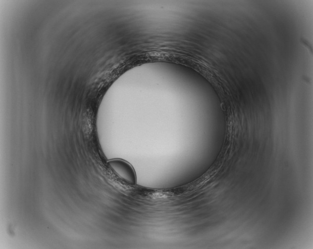 X0000101120566200806261048