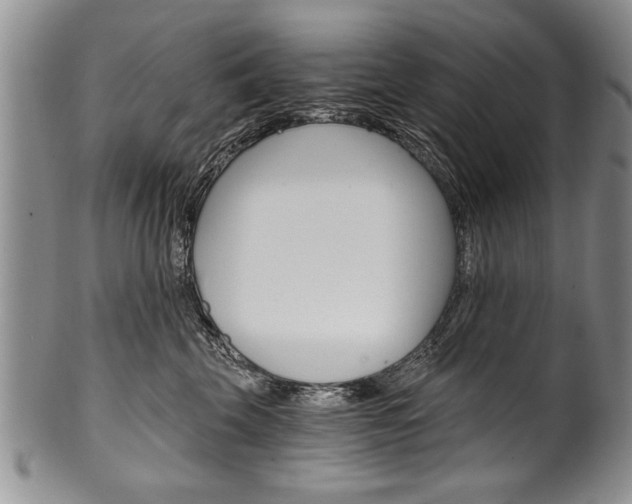 X0000101120569200806261048