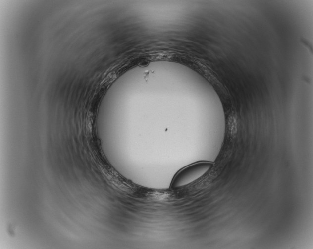 X0000101120570200806261048