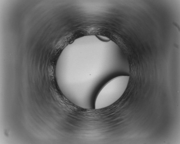 X0000101120571200806261048