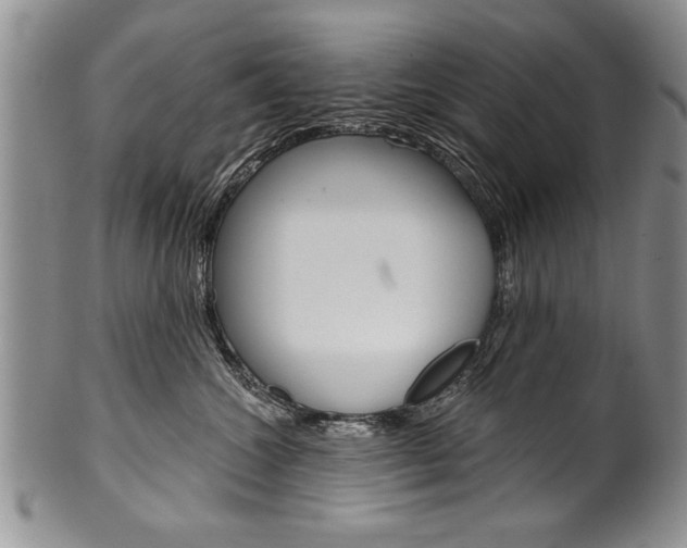 X0000101120572200806261048