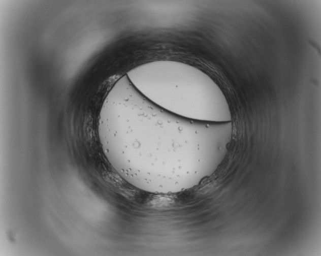 X0000101120573200806261048