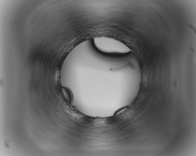 X0000101120574200806261048