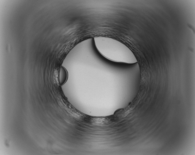 X0000101120575200806261048