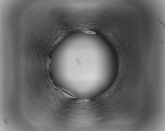 X0000101120576200806261048