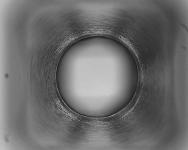 X0000101120577200806261047