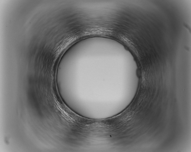 X0000101120578200806261047