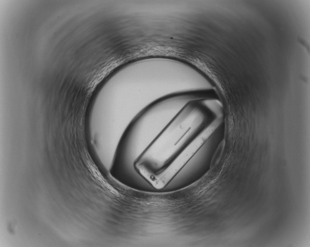 X0000101120581200806261047