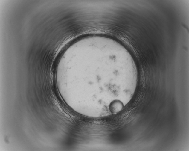 X0000101120584200806261047