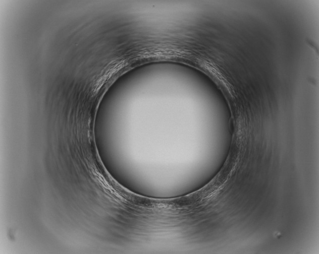X0000101120585200806261047