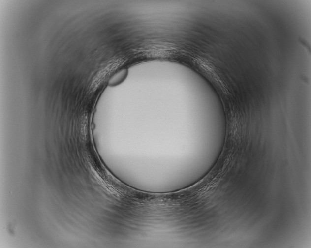 X0000101120586200806261047