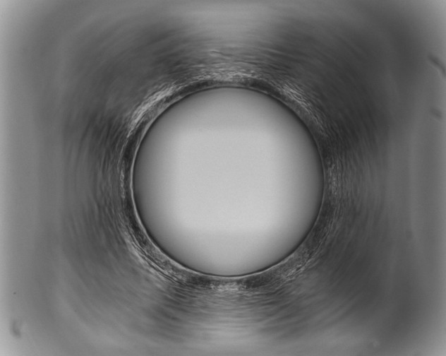 X0000101120587200806261047