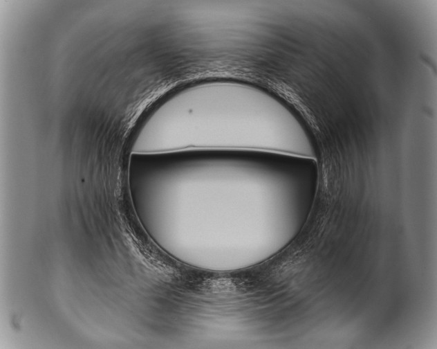 X0000101120588200806261047