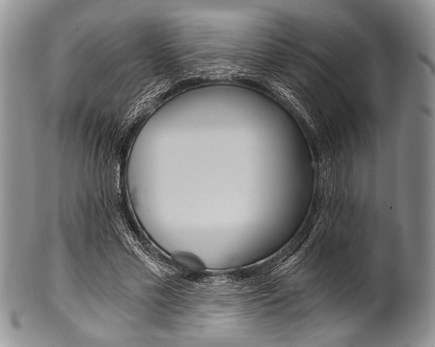 X0000101120589200806261047
