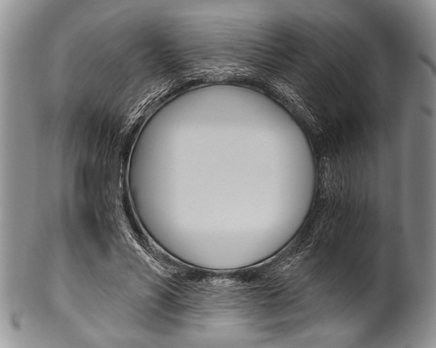 X0000101120590200806261047