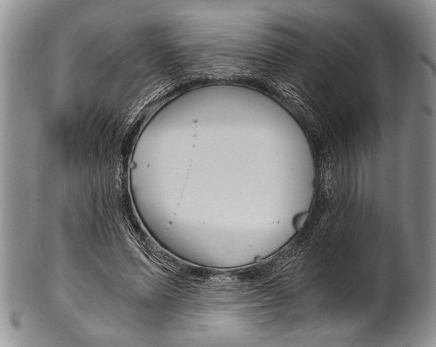 X0000101120591200806261047