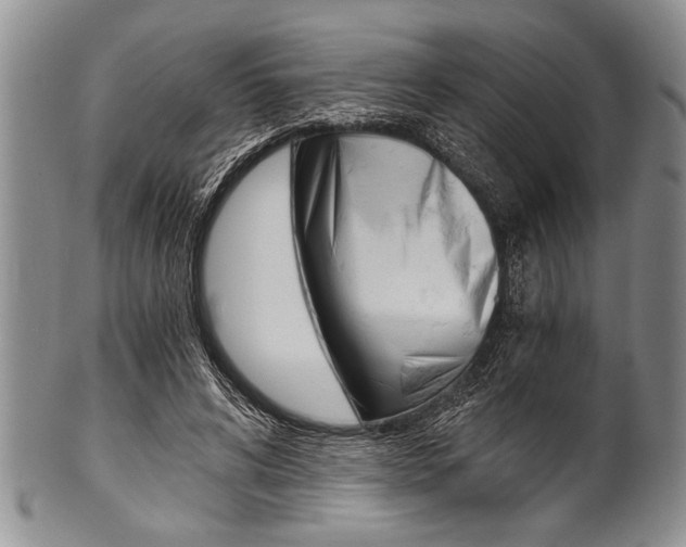 X0000101120592200806261047
