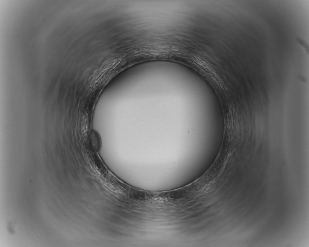 X0000101120593200806261047
