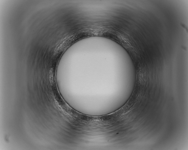 X0000101120594200806261047