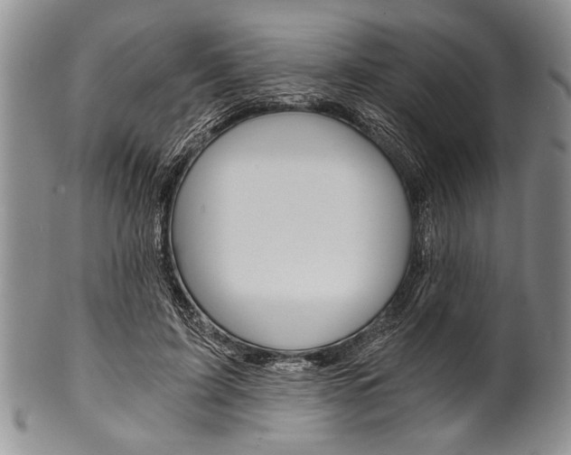 X0000101120595200806261047